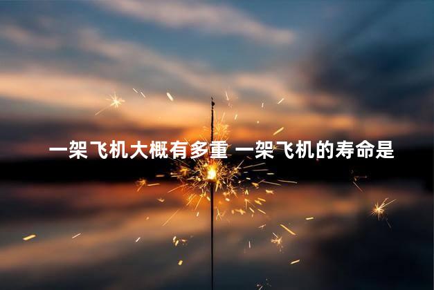 一架飞机大概有多重 一架飞机的寿命是多少年